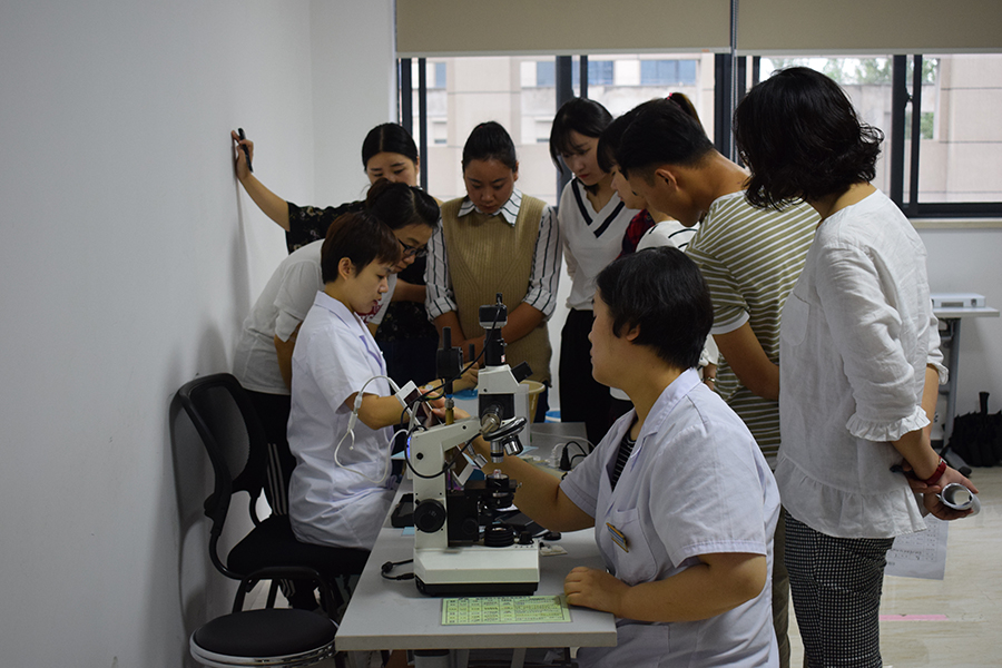 新宝GG—创立事业平台